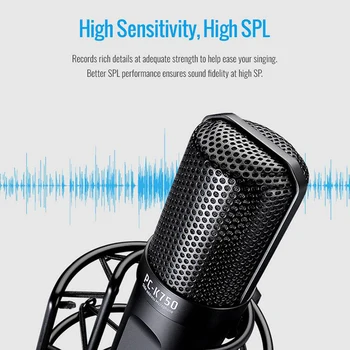 TAKSTAR PC-K750 Profesionalus Mikrofonas, XLR Kondensatoriaus Mikrofonas Cardioid Studio Mic su Shock Mount Podcasting Įrašymo Gyventi